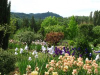 /album/galerie-de-photos-floraisons/jardin-comp-05-jpg/